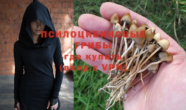 a pvp Медногорск