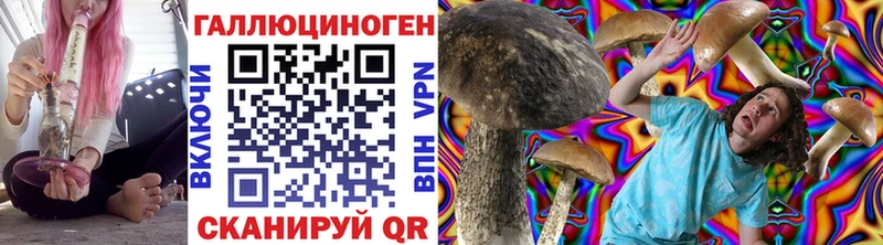 Галлюциногенные грибы GOLDEN TEACHER Кувшиново